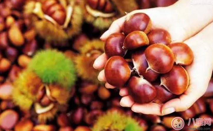 孕婦能吃生板栗嗎 孕婦吃糖炒栗子有哪些好處