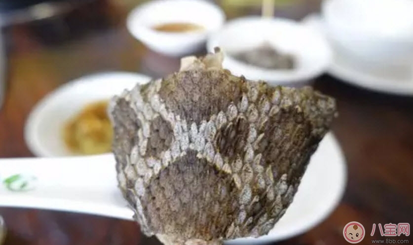 孕婦能吃蛇肉嗎產(chǎn)婦能吃蛇肉嗎 吃蛇肉有哪些危險(xiǎn)注意事項(xiàng) 孕婦能吃蛇肉嗎產(chǎn)婦能吃蛇肉嗎 吃蛇肉有哪些危險(xiǎn)注意事項(xiàng)