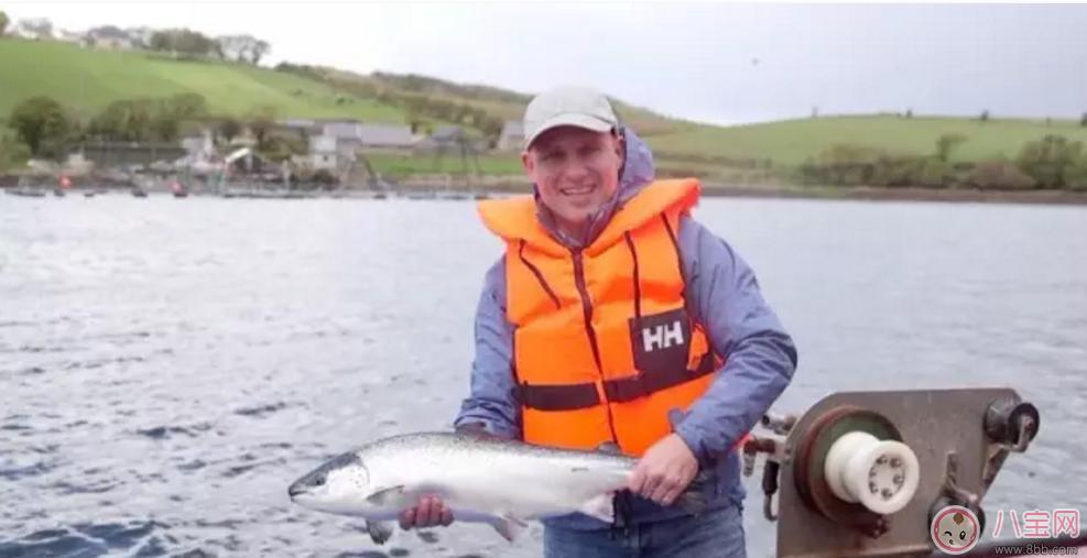 范瑋琪的寶寶也在吃 匠心啟航教育輔食寶寶口糧必囤