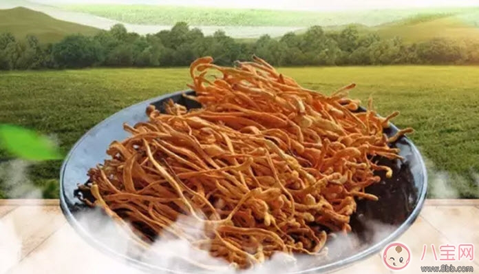 孕婦可以喝蟲草花煲湯嗎 懷孕可蟲草花燉雞孕婦能吃嗎 孕婦可以喝蟲草花煲湯嗎 懷孕可蟲草花燉雞孕婦能吃嗎