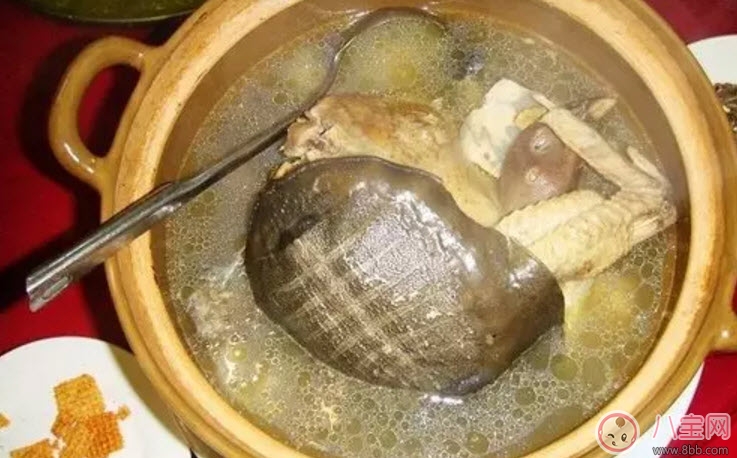 孕婦能喝清燉甲魚(yú)湯嗎 孕婦喝了甲魚(yú)湯怎么辦
