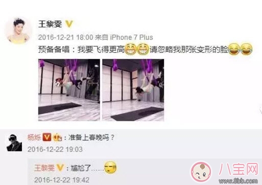 小包總楊爍兒子小毛驢照片 楊爍兒子小毛驢多大了