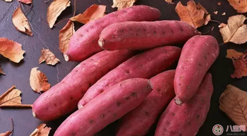 秋天大魚大肉不如吃點素 價格便宜功效更是趕超肉!