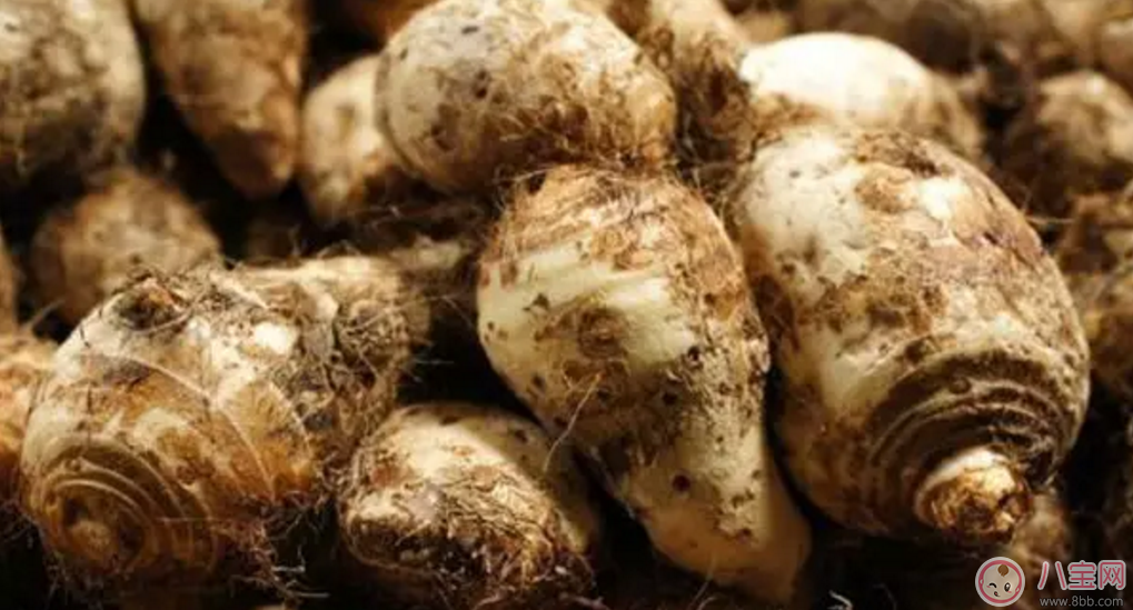 秋天大魚大肉不如吃點素 價格便宜功效更是趕超肉!