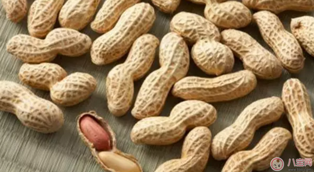 秋天大魚大肉不如吃點素 價格便宜功效更是趕超肉!