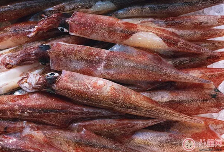 孕婦魷魚可以吃嗎 孕婦吃魷魚有哪些好處