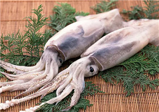 孕婦魷魚可以吃嗎 孕婦吃魷魚有哪些好處