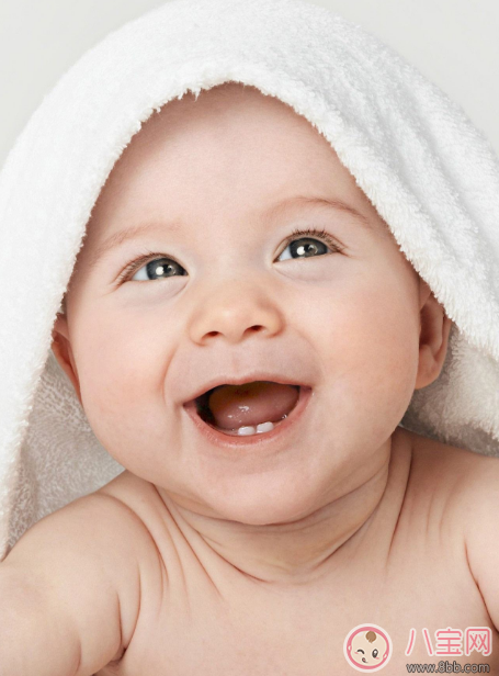 寶寶出牙怎么吃東西 寶寶出牙輔食推薦 寶寶出牙怎么吃東西 寶寶出牙輔食推薦