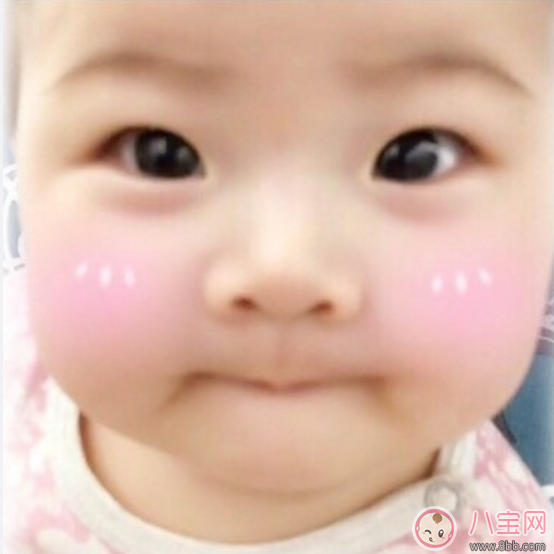 賀軍翔女兒基因強大 賀軍翔老婆是誰