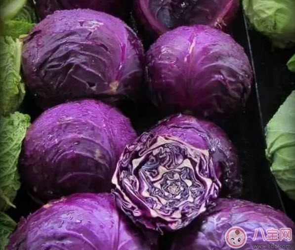 紫包菜孕婦可以生吃涼拌吃嗎 適合孕婦吃的紫甘藍(lán)涼拌菜有哪些