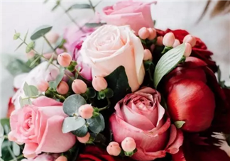 七夕節(jié)送什么花給老婆 怎么送花更浪漫