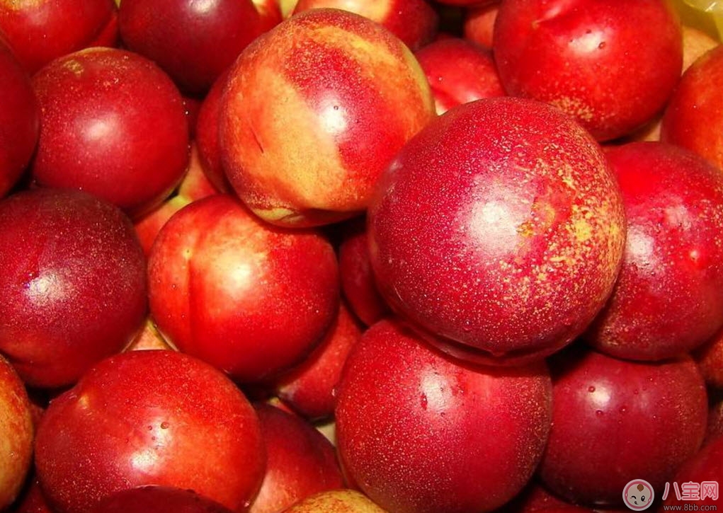 孕婦能吃油桃嗎哺乳期能吃油桃嗎 孕婦吃油桃的注意事項(xiàng)有哪些