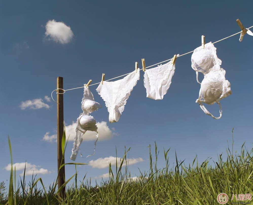 女性私處防護(hù) 內(nèi)褲挑選及清潔必看