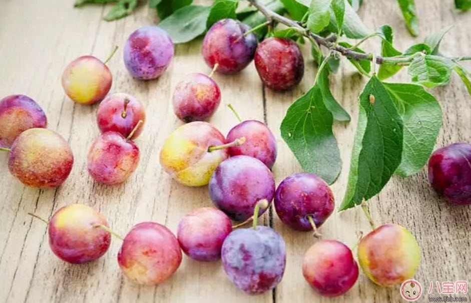 紅心李子孕婦可以吃嗎 孕婦最多能吃多少個(gè)紅李子