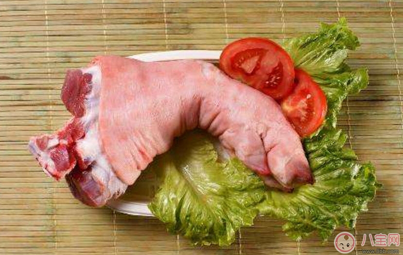 孕婦能不能吃豬蹄 適合孕婦吃的豬蹄做法 孕婦能不能吃豬蹄 適合孕婦吃的豬蹄做法