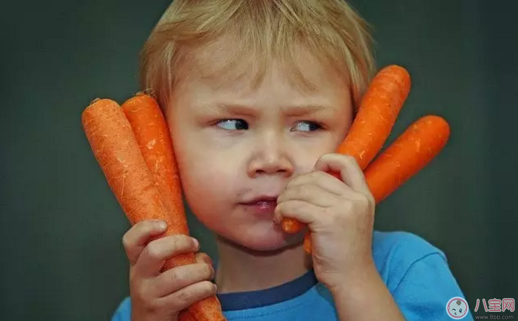 秋季寶寶飲食推薦 胡蘿卜營養(yǎng)又美味 秋季寶寶飲食推薦 胡蘿卜營養(yǎng)又美味