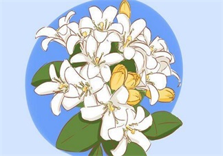 探望寶寶的送什么好 送孩子?xùn)|西這些要避開