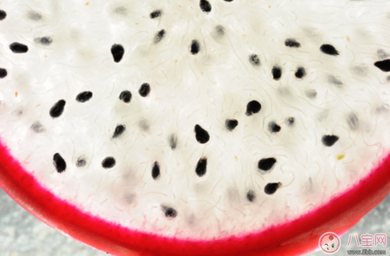 火龍果的籽寶寶能吃嗎 寶寶吃火龍果籽不消化怎么辦 火龍果的籽寶寶能吃嗎 寶寶吃火龍果籽不消化怎么辦