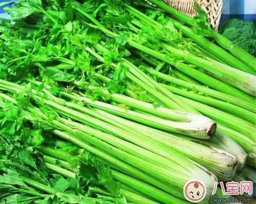 健康飲食須知 芹菜可預防多種疾病