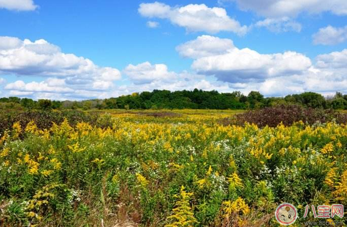 貼秋膘怎么吃好 做什么吃最有食欲 貼秋膘怎么吃好 做什么吃最有食欲