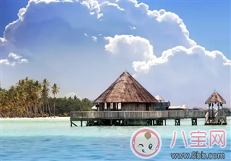 讓周冬雨欲罷不能的中餐廳明星菜式制作合集 讓周冬雨欲罷不能的中餐廳明星菜式制作合集