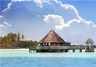 讓周冬雨欲罷不能的中餐廳明星菜式制作合集