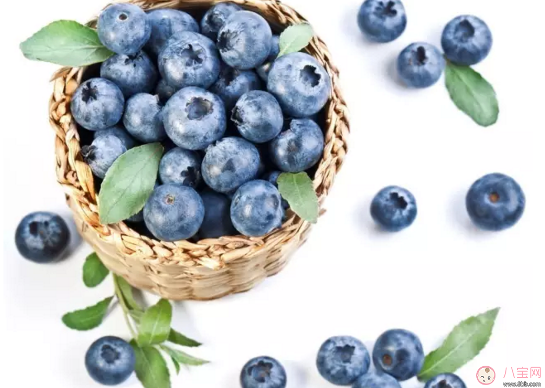 藍(lán)莓輔食營養(yǎng)高 如何給寶寶吃