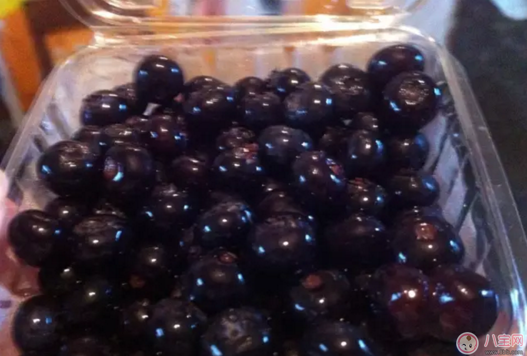 藍(lán)莓輔食營養(yǎng)高 如何給寶寶吃