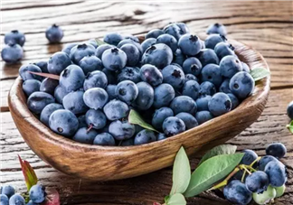 藍莓輔食營養(yǎng)高 如何給寶寶吃