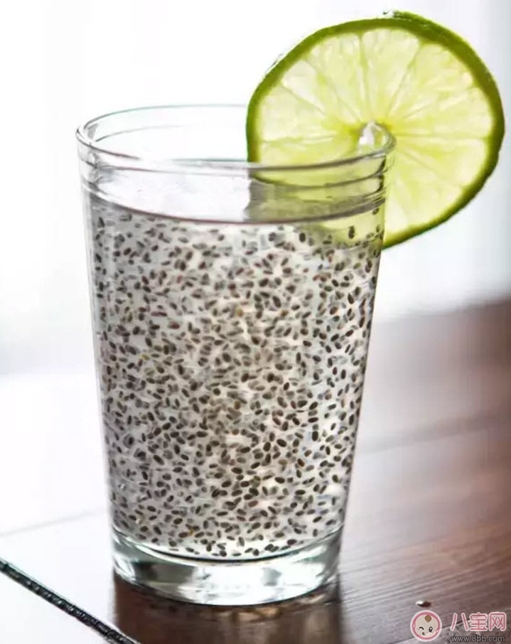 寶寶能吃奇亞籽嗎 奇亞籽多大的寶寶能吃(寶寶奇亞籽食譜) 寶寶能吃奇亞籽嗎 奇亞籽多大的寶寶能吃(寶寶奇亞籽食譜)