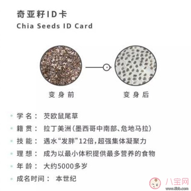 奇亞籽孕婦能吃嗎 孕婦吃奇亞籽的好處壞處有哪些 奇亞籽孕婦能吃嗎 孕婦吃奇亞籽的好處壞處有哪些