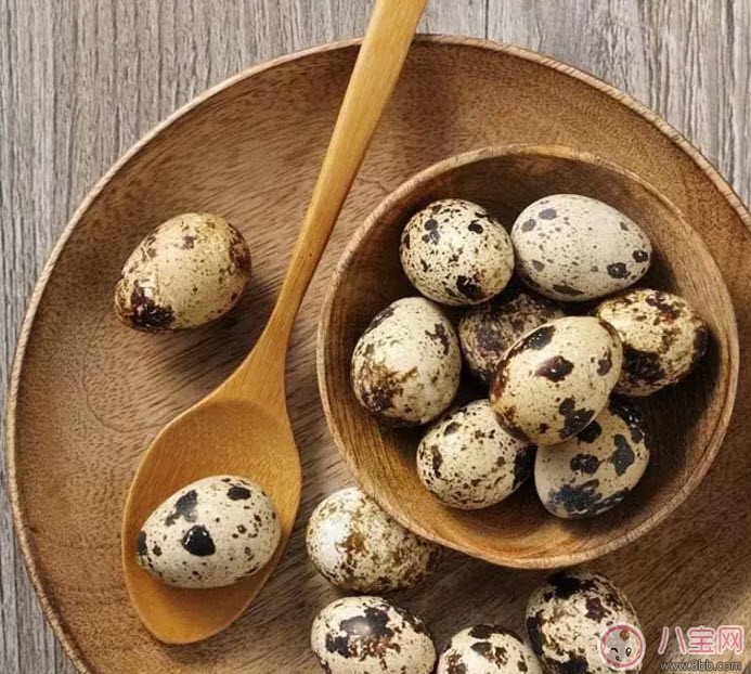 孕婦吃鵪鶉蛋會(huì)長(zhǎng)斑嗎 孕婦鵪鶉蛋每天吃幾個(gè)(3-4個(gè))