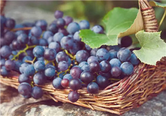 孕婦每天可以吃多少葡萄 懷孕吃葡萄有什么好處