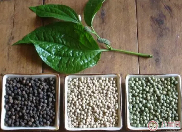 孕婦為什么不能吃胡椒粉 懷孕吃了胡椒會怎么樣 孕婦為什么不能吃胡椒粉 懷孕吃了胡椒會怎么樣