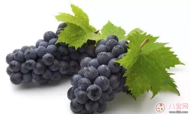 孕婦吃葡萄孩子胎兒眼睛大是真的嗎 孕婦吃葡萄寶寶眼睛黑