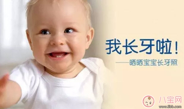 寶寶長牙期間吃什么好 寶寶長牙吃什么輔食食譜