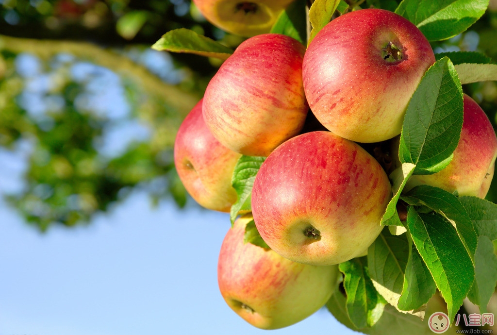 女性身體保健小妙招 一天一蘋果