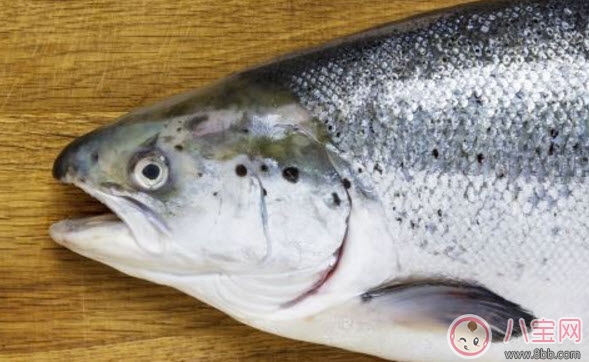 孕婦可以吃海鮮嗎 孕婦可以吃的海鮮有哪些 孕婦可以吃海鮮嗎 孕婦可以吃的海鮮有哪些