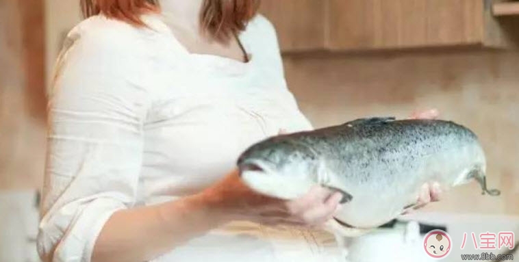 孕婦可以吃海鮮嗎 孕婦可以吃的海鮮有哪些 孕婦可以吃海鮮嗎 孕婦可以吃的海鮮有哪些