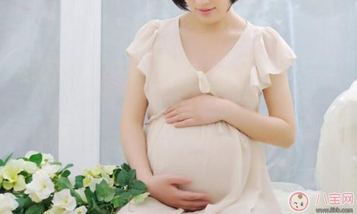 孕婦可以吃海鮮嗎 孕婦可以吃的海鮮有哪些 孕婦可以吃海鮮嗎 孕婦可以吃的海鮮有哪些