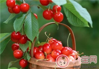櫻桃營(yíng)養(yǎng)價(jià)值高 寶寶如何正確的食用櫻桃 櫻桃營(yíng)養(yǎng)價(jià)值高 寶寶如何正確的食用櫻桃