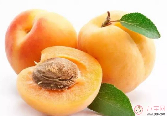 孕婦不能吃的食物清單 懷孕期間不能貪嘴多吃的5種水果