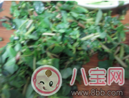 哺乳期間可以吃馬齒莧嗎 怎么吃馬齒莧好 哺乳期間可以吃馬齒莧嗎 怎么吃馬齒莧好