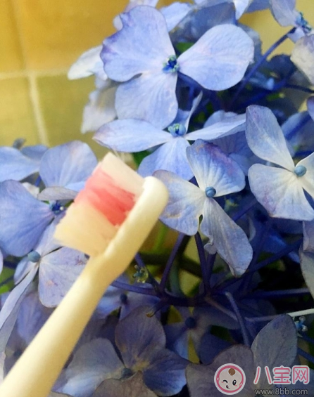 寶寶刷牙用什么牙刷好 sidda兒童智能牙刷測評