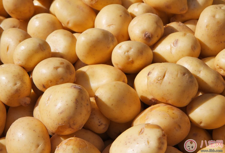 孩子早餐適合吃什么 發(fā)酵類食品推薦 孩子早餐適合吃什么 發(fā)酵類食品推薦