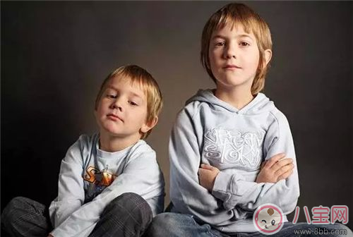 兩個(gè)孩子怎么養(yǎng)    兩孩子一定要注意的8點(diǎn)