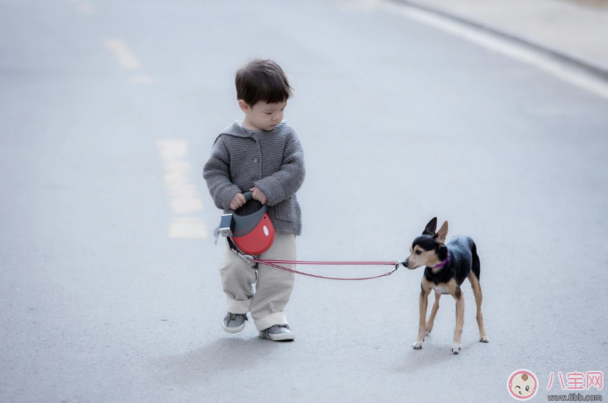 孩子頭發(fā)黃怎么辦 如何改善孩子頭發(fā)黃