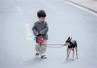 孩子頭發(fā)黃怎么辦 如何改善孩子頭發(fā)黃