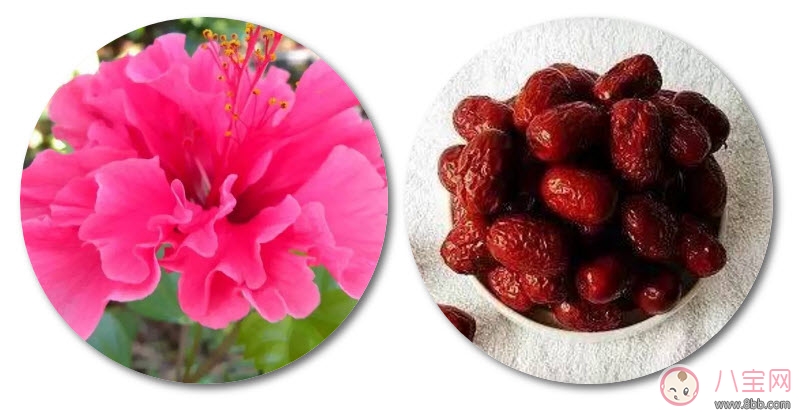 新生兒黃疸洗什么中藥好 新生兒黃疸推拿方法