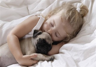 家中養(yǎng)寵物怎么和孩子和諧相處 寵物與寶寶相處法則